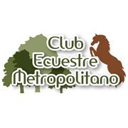 logo metro